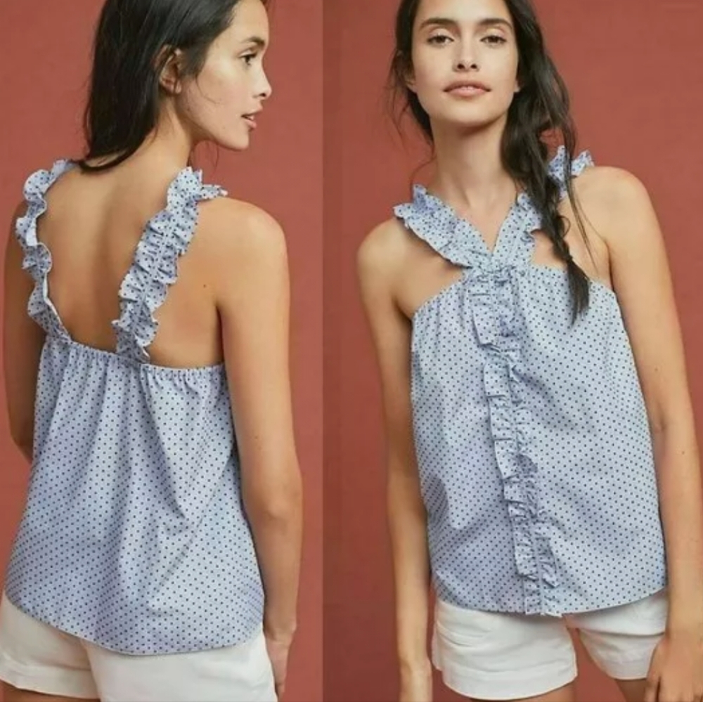 Waverly Grey Chambray Ruffle Pin Dot Berlin Blouse